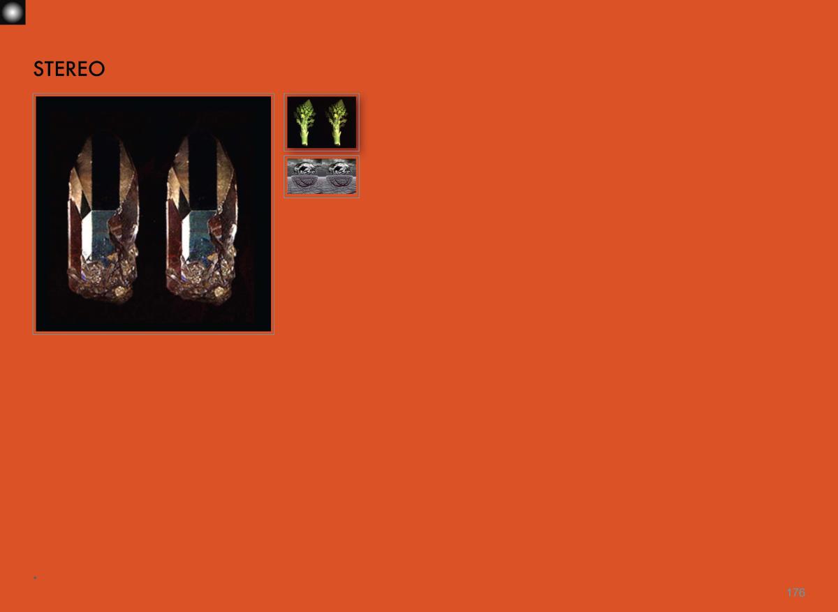 KINESIS-English Page 177