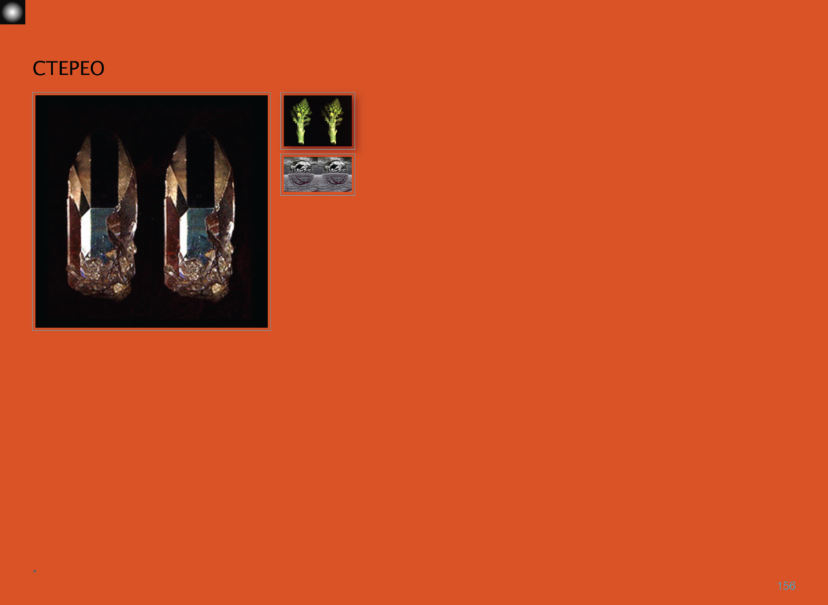 КИНЕЗИС Page 155