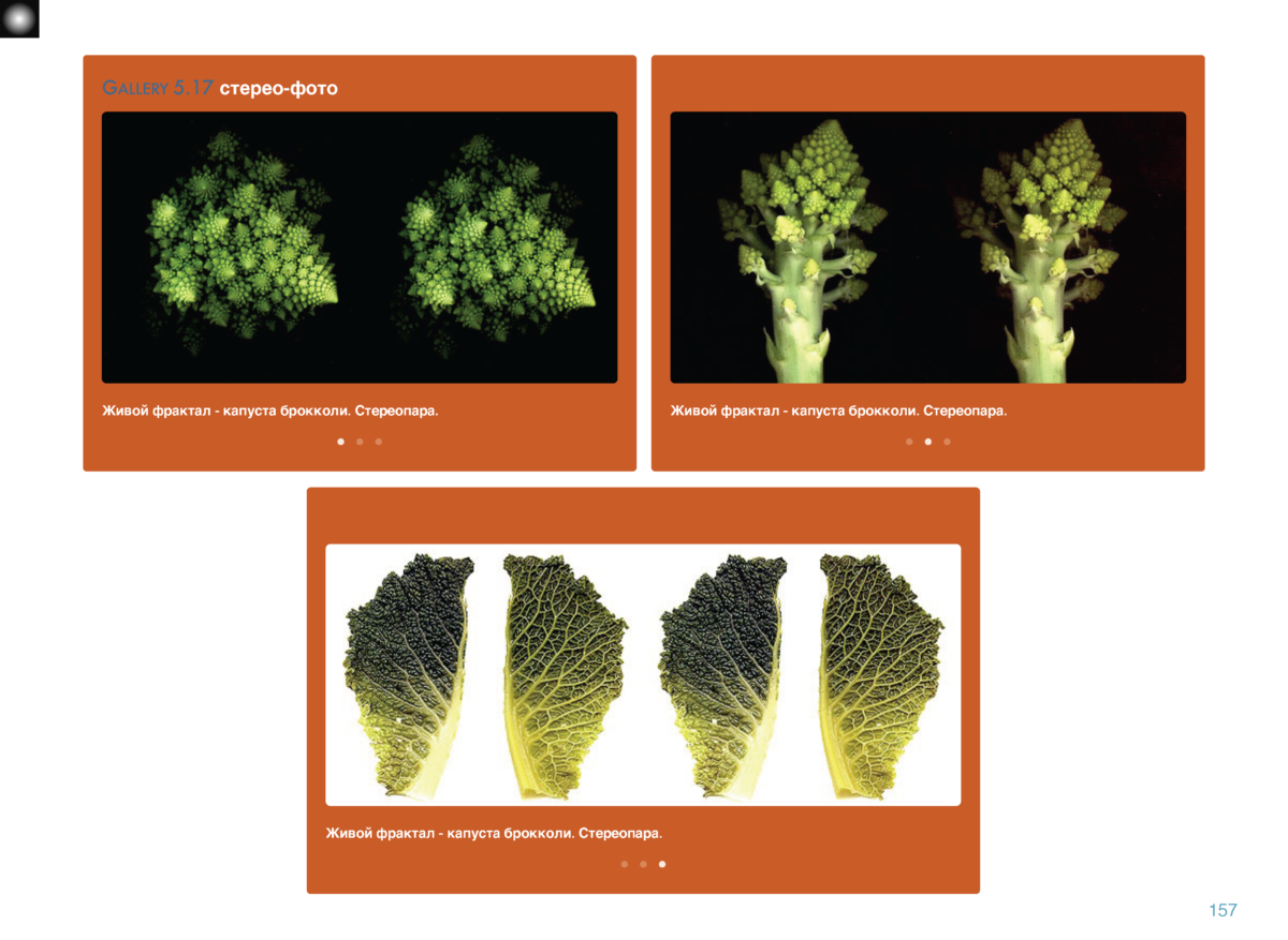 КИНЕЗИС Page 156