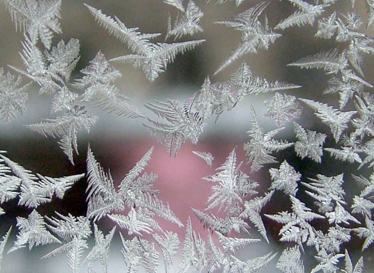 ФОТОГРАФИЯ Page 010