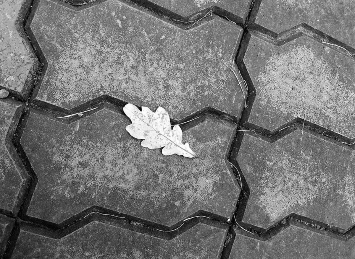 ФОТОГРАФИЯ Page 012